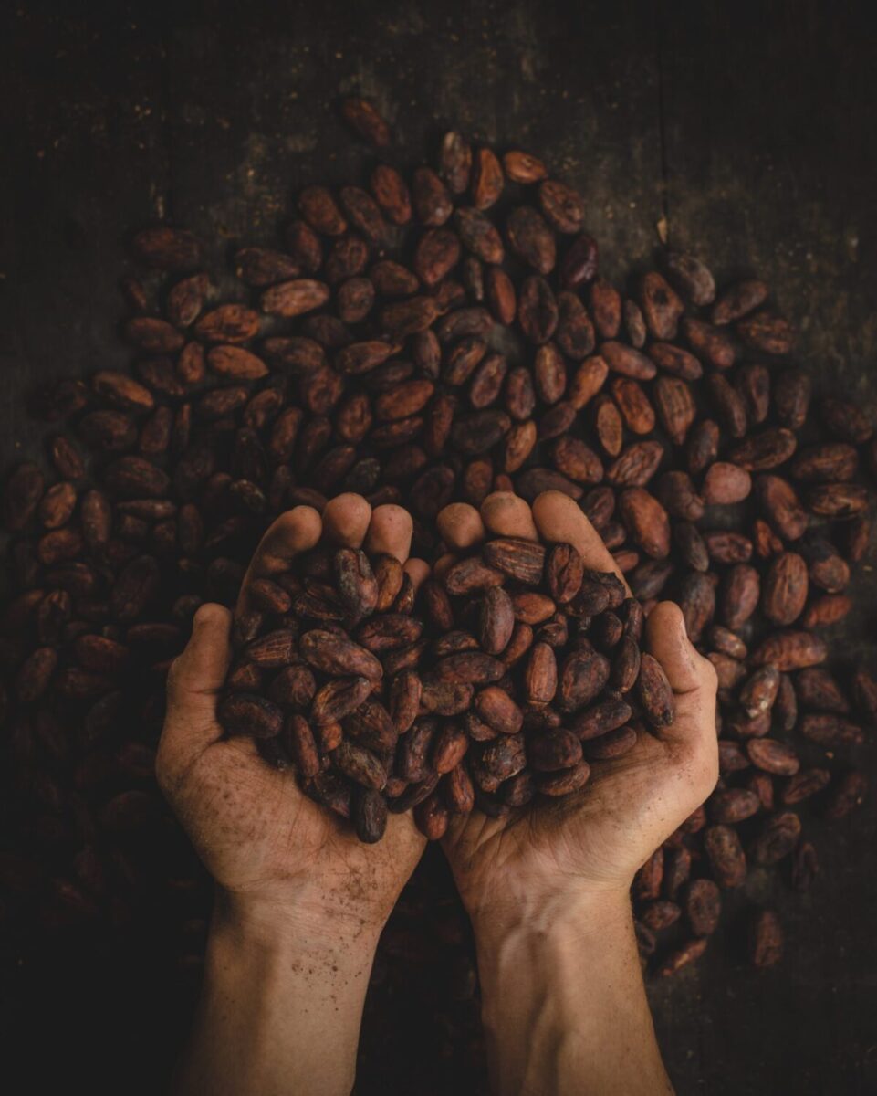 コーヒーを減らす】コーヒー中毒から抜け出すにはカカオの力が有力であるというお話。 | UGUISU SABOU LIFE JOURNAL