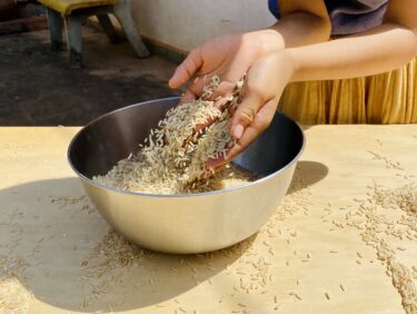 【米、小麦、麺類】のオススメ- 食育重視の我が家が選ぶ、安心できる米、小麦、麺類などの穀類