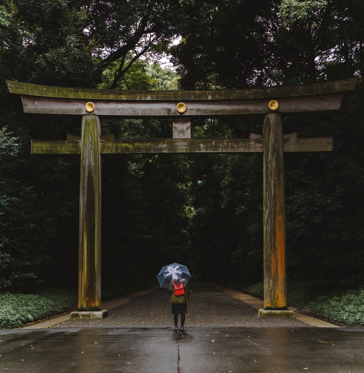 person standing in front of torii during daytime