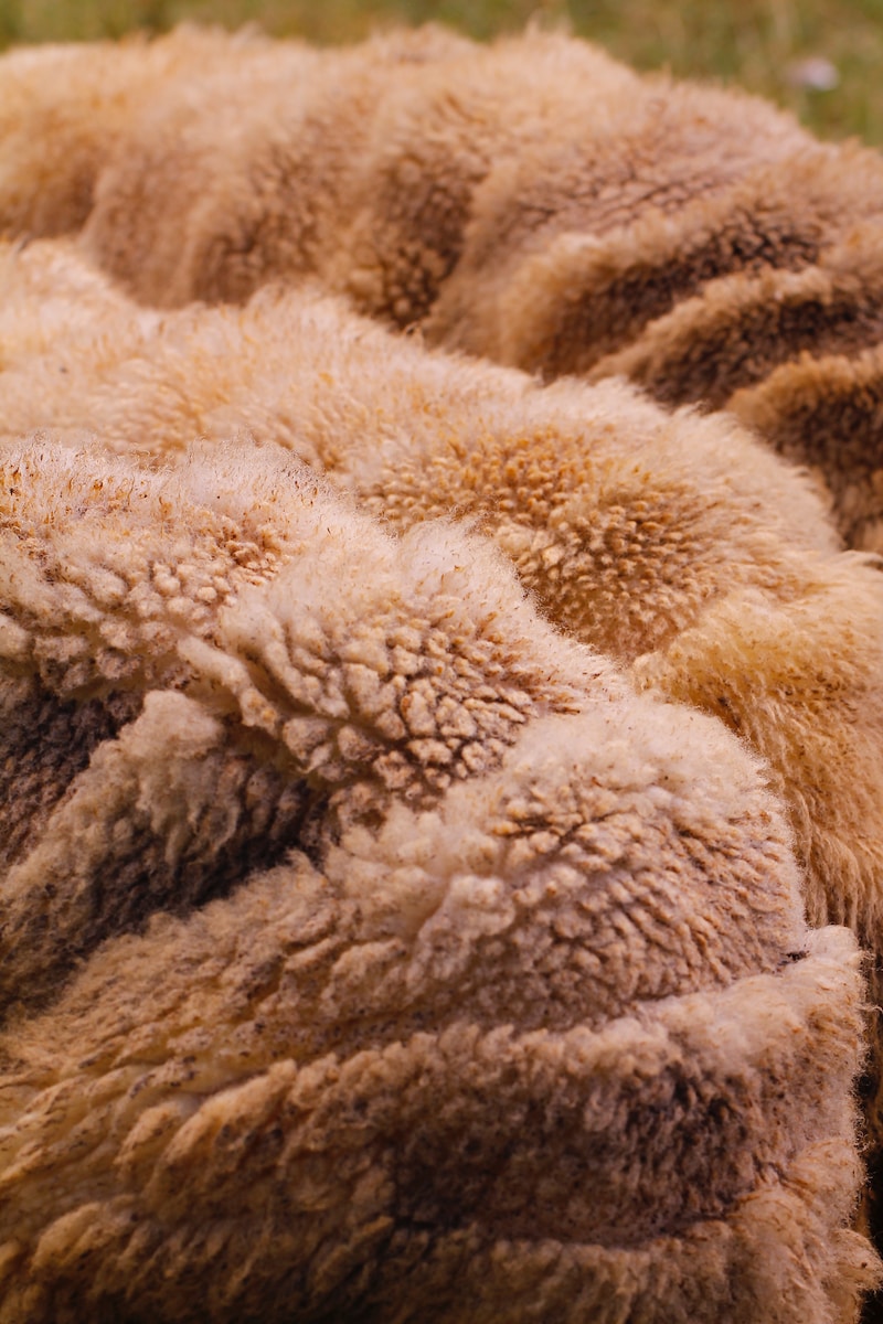 white and brown fur textile