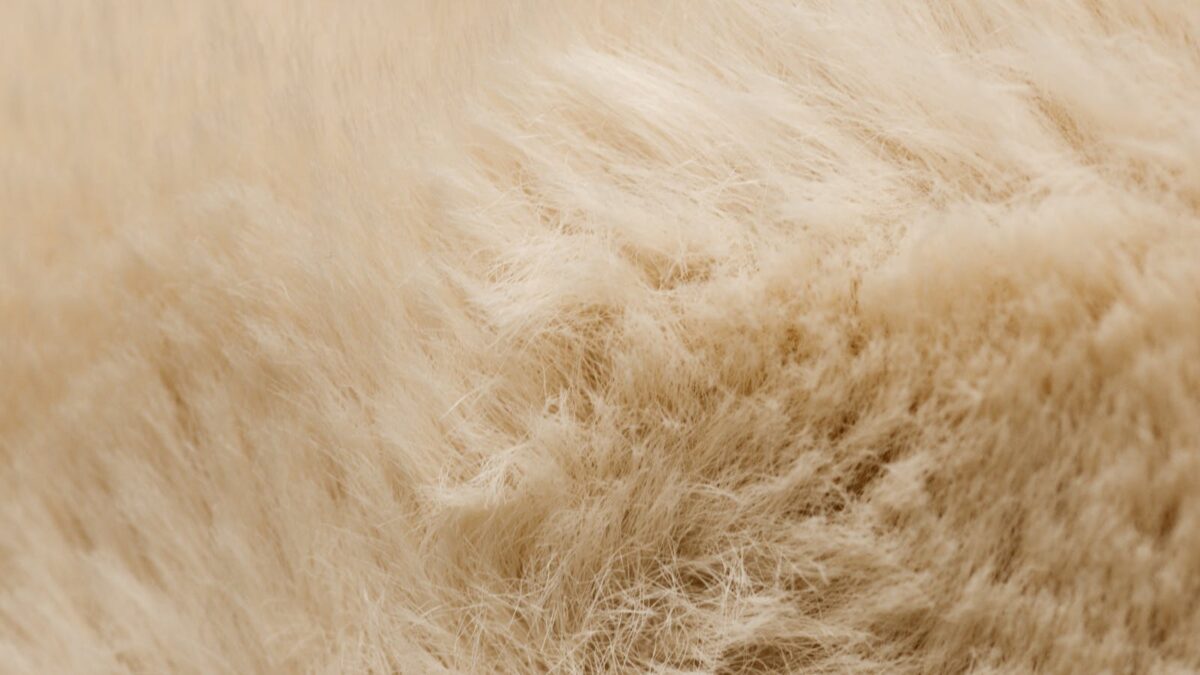 Close-up view of fluffy and textured white fur, ideal for backgrounds.